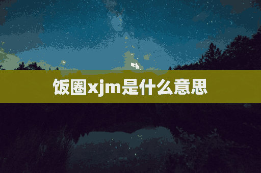 饭圈xjm是什么意思